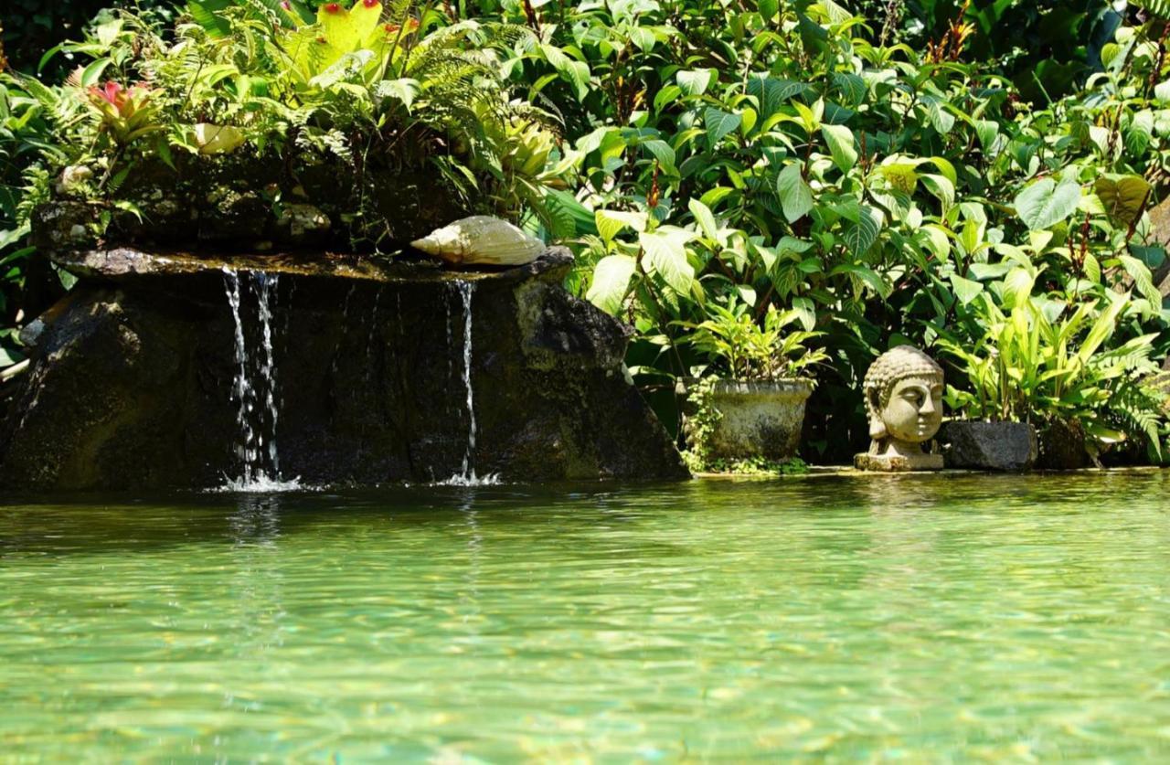 Pousada Do Riacho Trindade Trindade  Exteriér fotografie